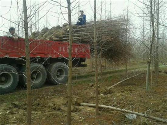 裝車現場